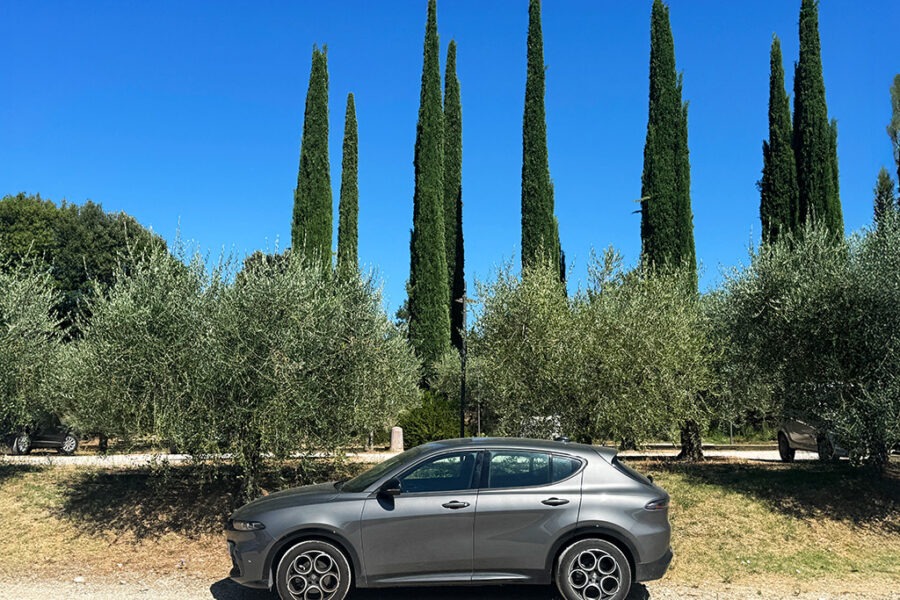 car parked in front of olive and cypress trees