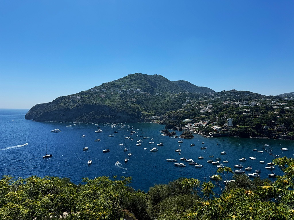 view of boats in a bay off ischia
