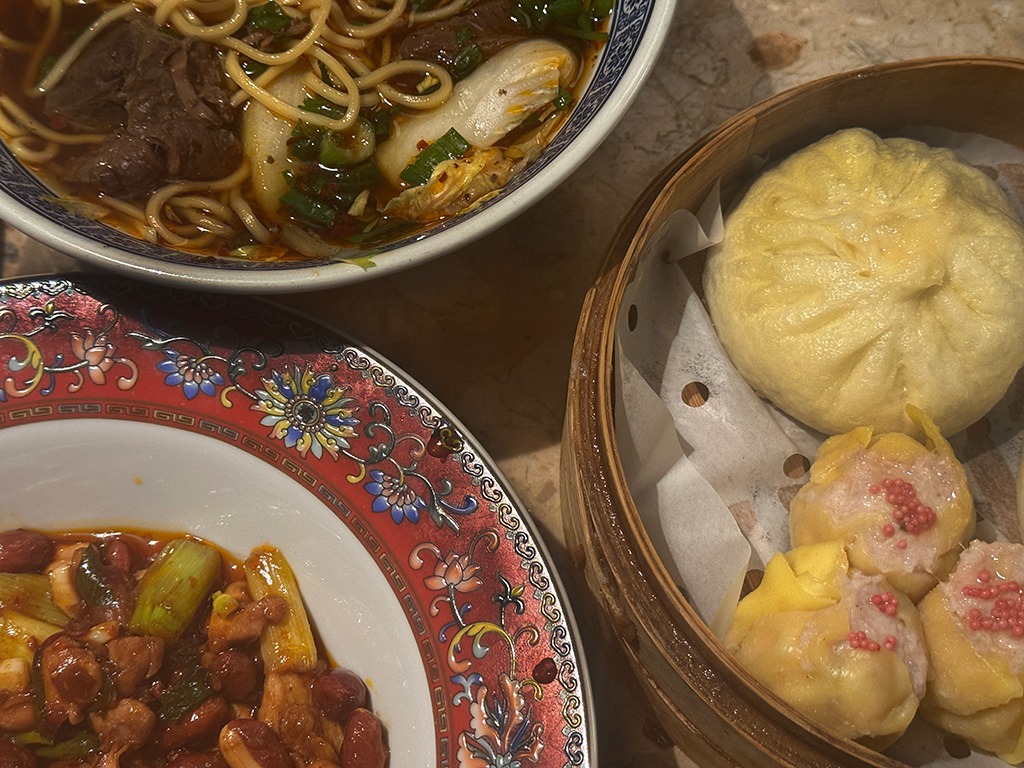 close up of chinese food in turin restaurant